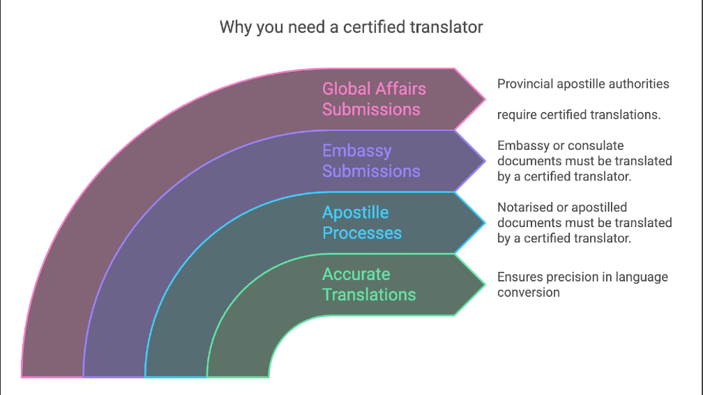 Why Are Certified Translations Needed in the Apostille Process?